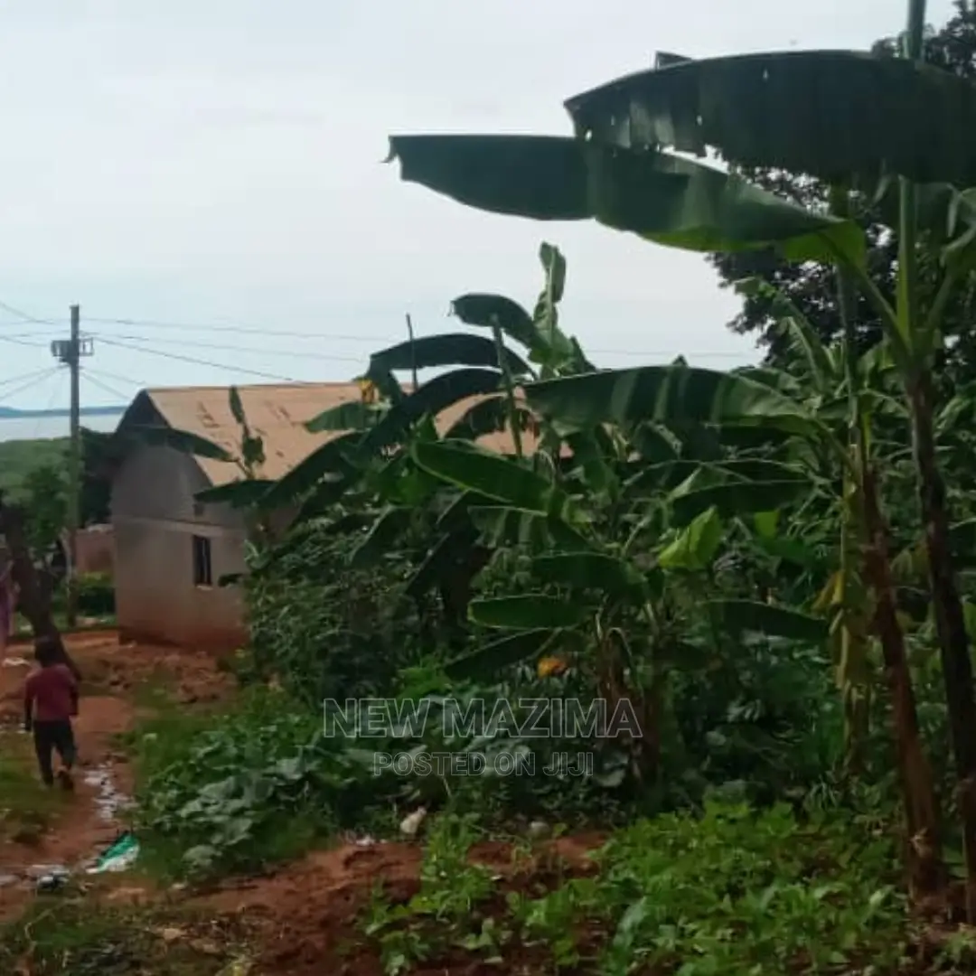 Affordable Sweet Plot With Lake View Onquicksale in Munyonyo