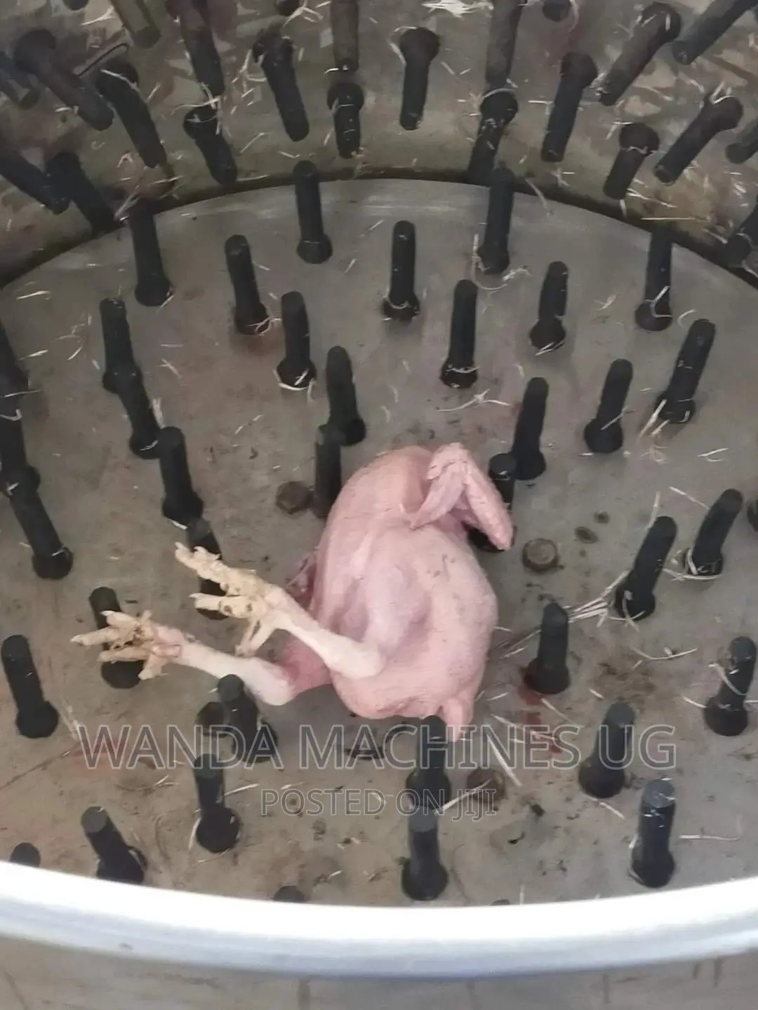 Chicken Pullacking Machines