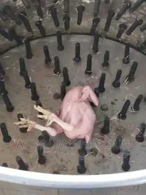 Chicken Pullacking Machines