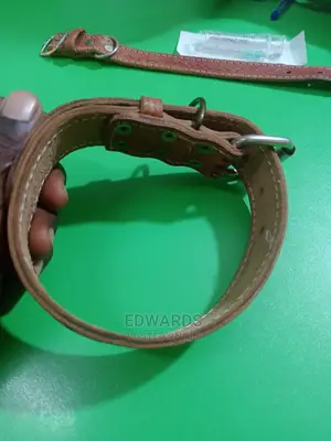 Pure Leather Collars