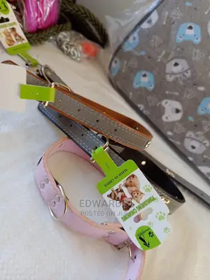 Dog Collars