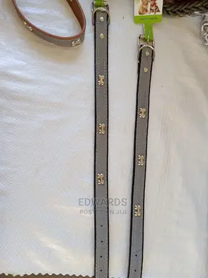 Dog Collars