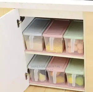 Fridge Storage Container