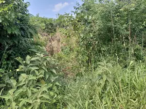 5acres of Land for Sale at Kikyusa