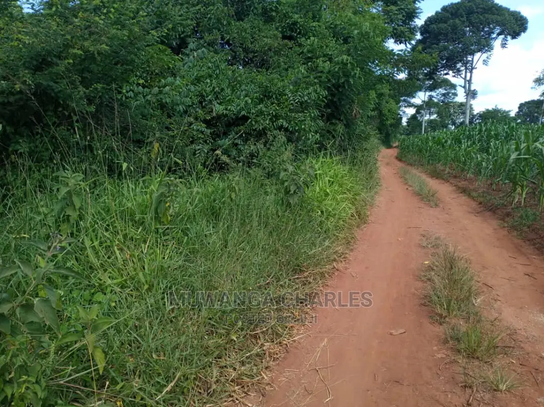 5acres of Land for Sale at Kikyusa
