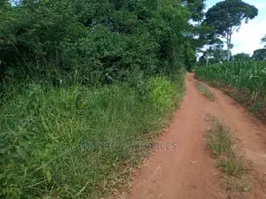 5acres of Land for Sale at Kikyusa