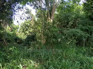 5acres of Land for Sale at Kikyusa