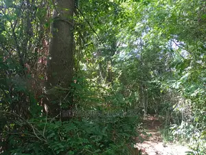 5acres of Land for Sale at Kikyusa