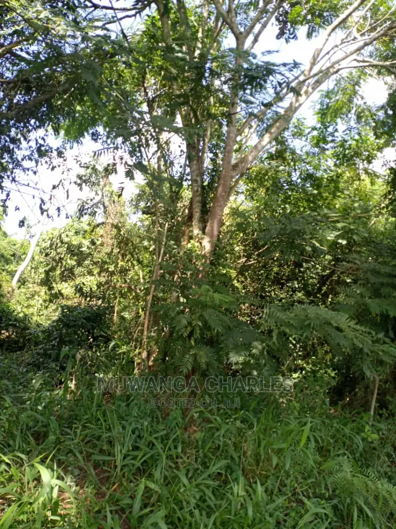 5acres of Land for Sale at Kikyusa