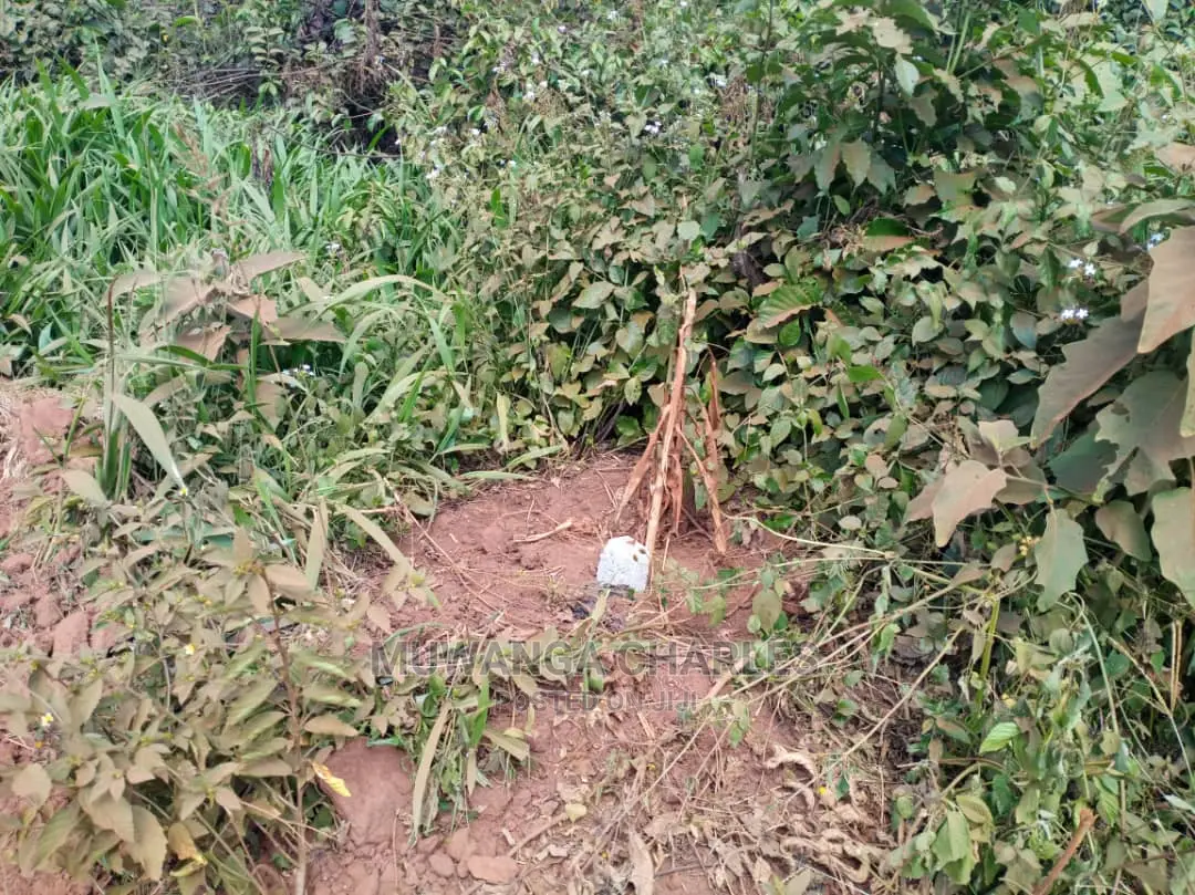 5acres of Land for Sale at Kikyusa