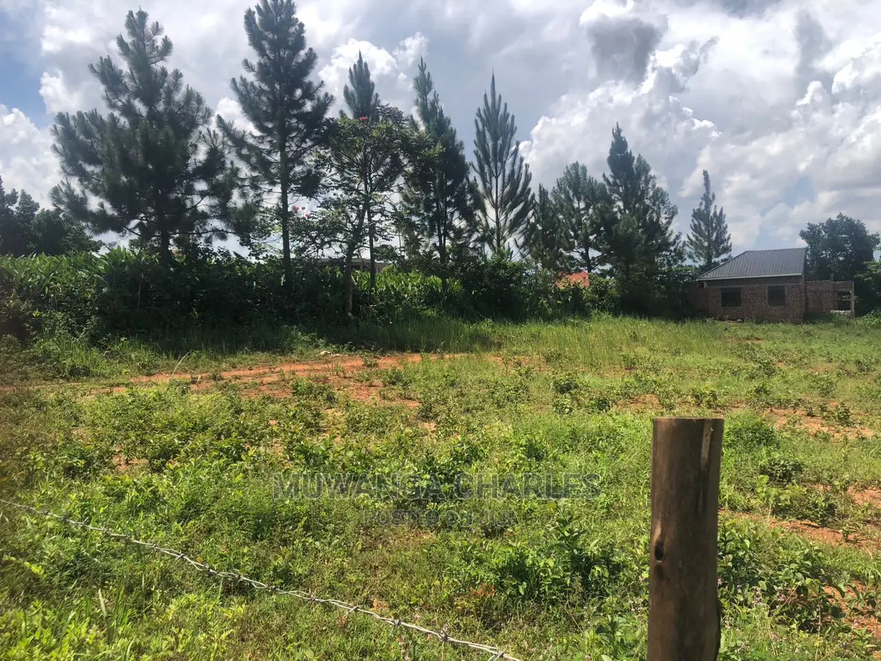 Plot's in Kiwenda for Sale