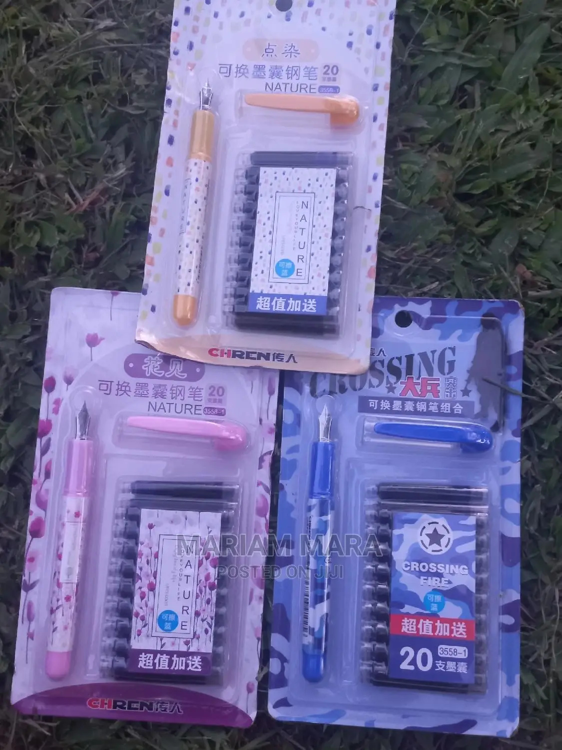 Fountain Pen /Pen
