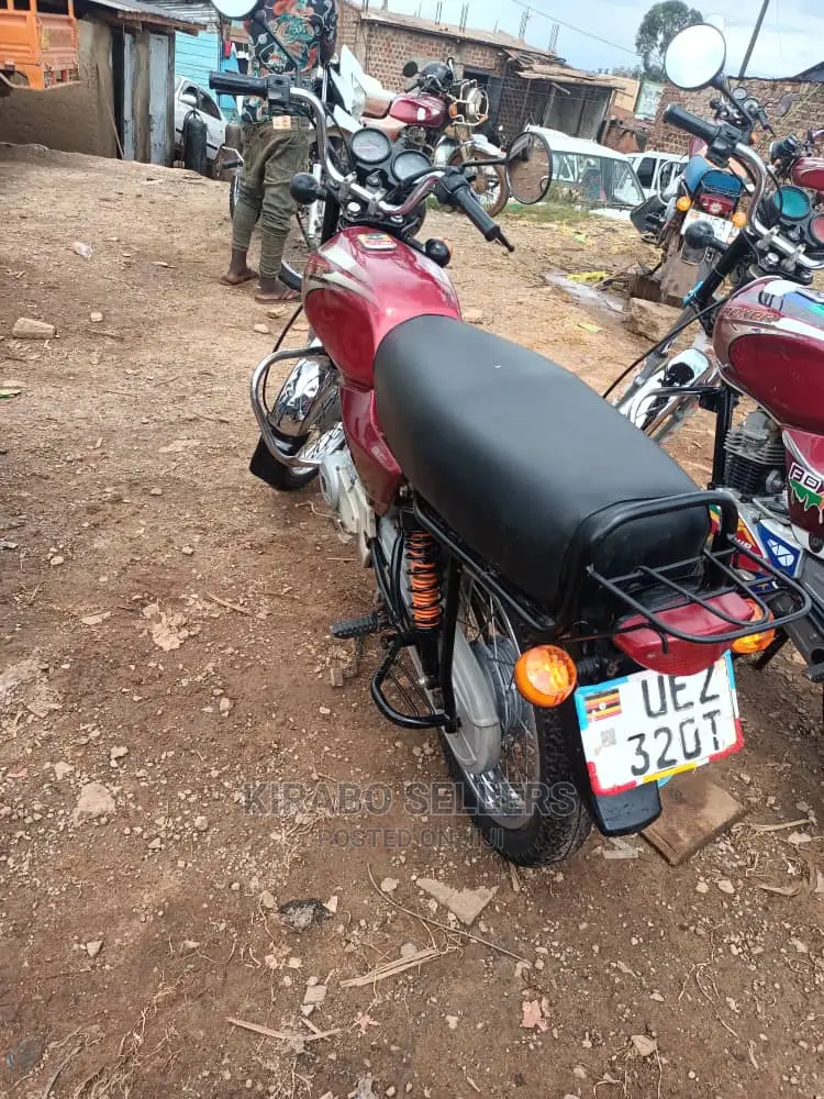 Bajaj Boxer 100 2022 Green