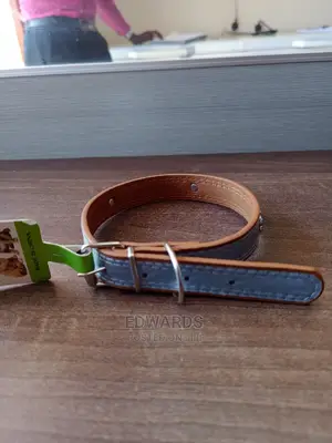 Dog Collar X1