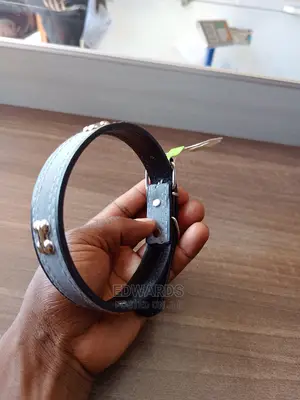 Dog Collar X2