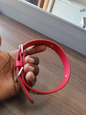 Dog Collar X3