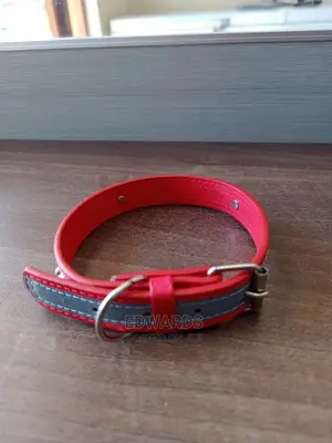Dog Collar X3