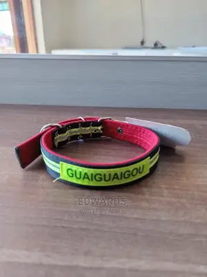 Dog Collar X4