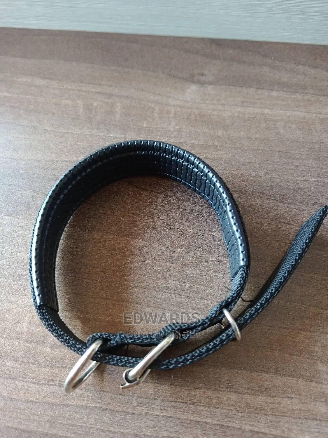 Dog Collar X5