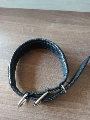 Dog Collar X5