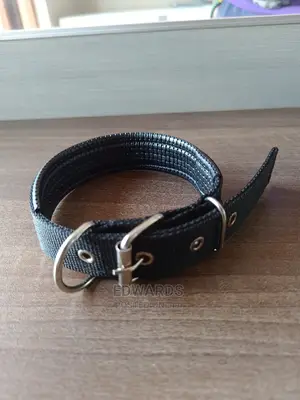 Dog Collar X5
