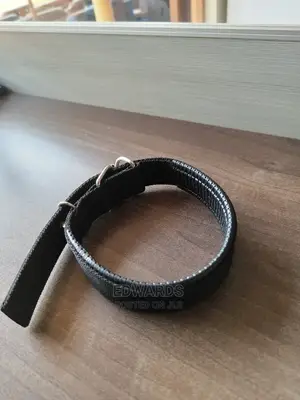Dog Collar X5