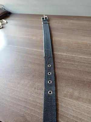 Dog Collar X5