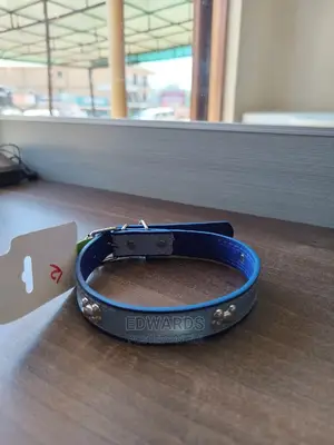 Dog Collar X6