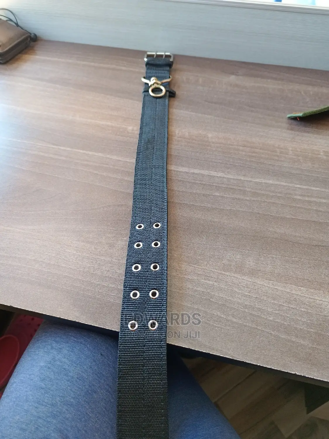 Dog Collar X8