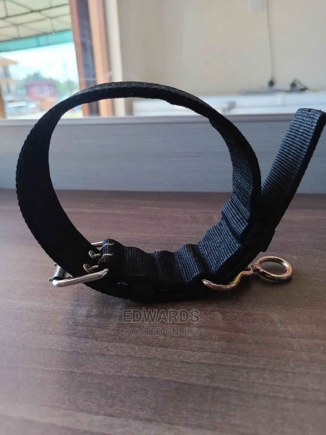 Dog Collar X8