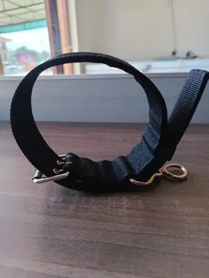 Dog Collar X8