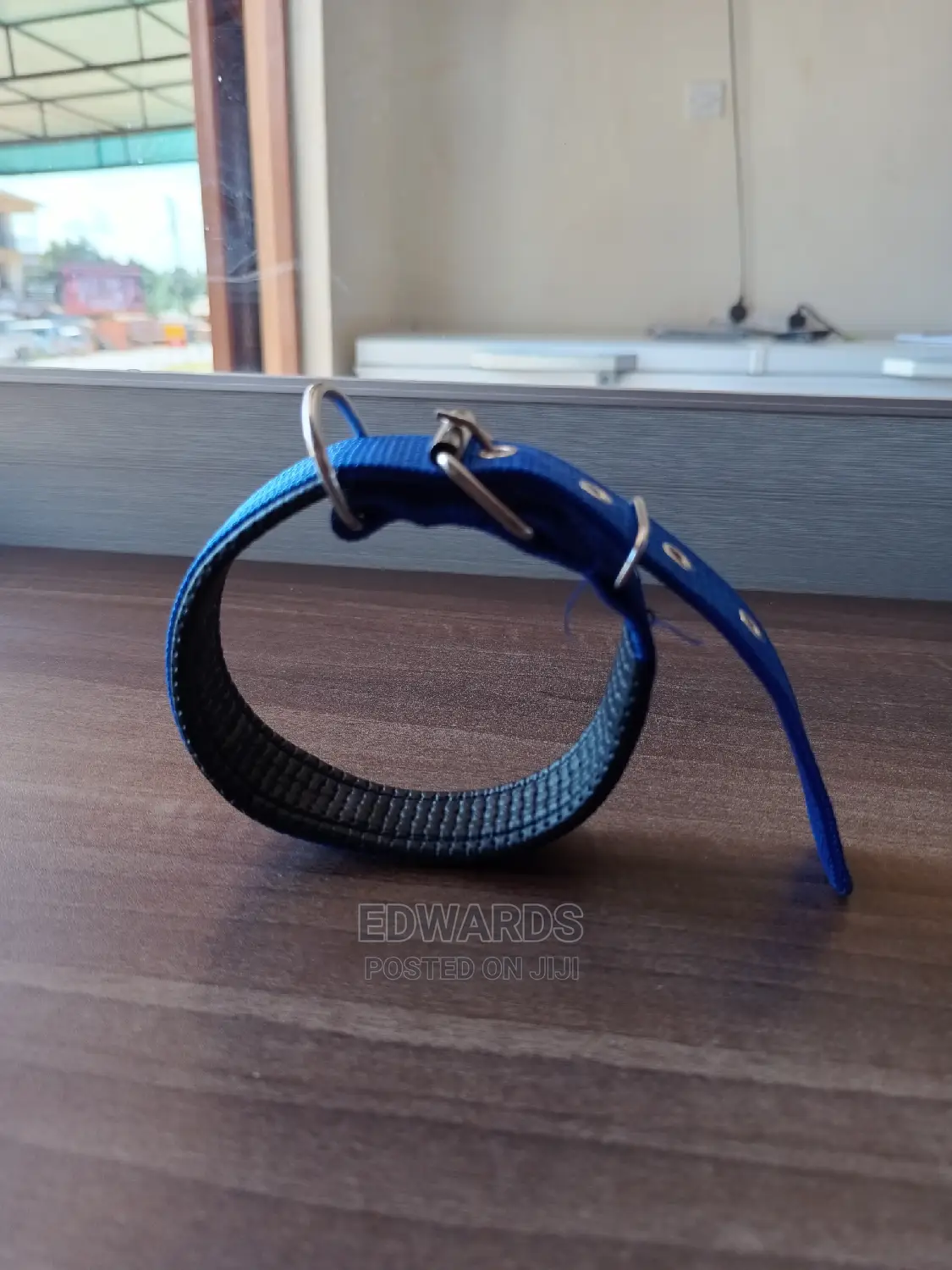 Dog Collar X10