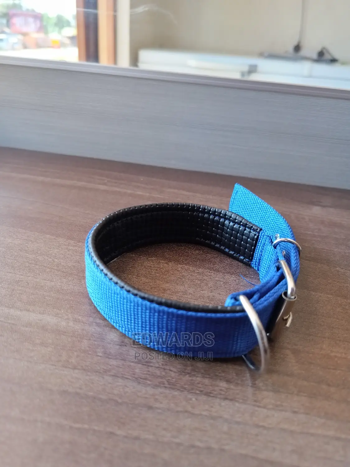 Dog Collar X10
