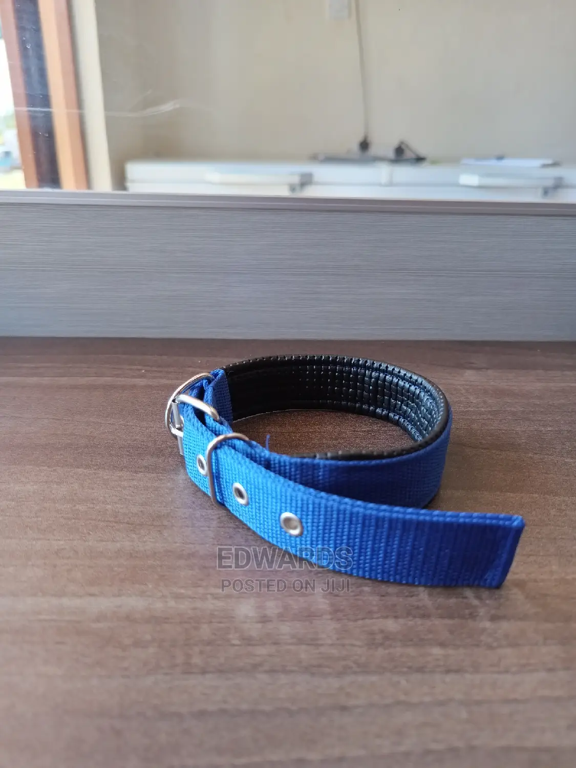 Dog Collar X10