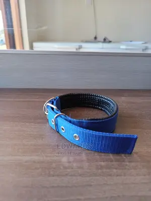 Dog Collar X10