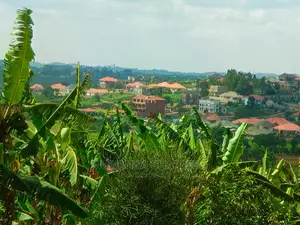 Plot's in Kira for Sale