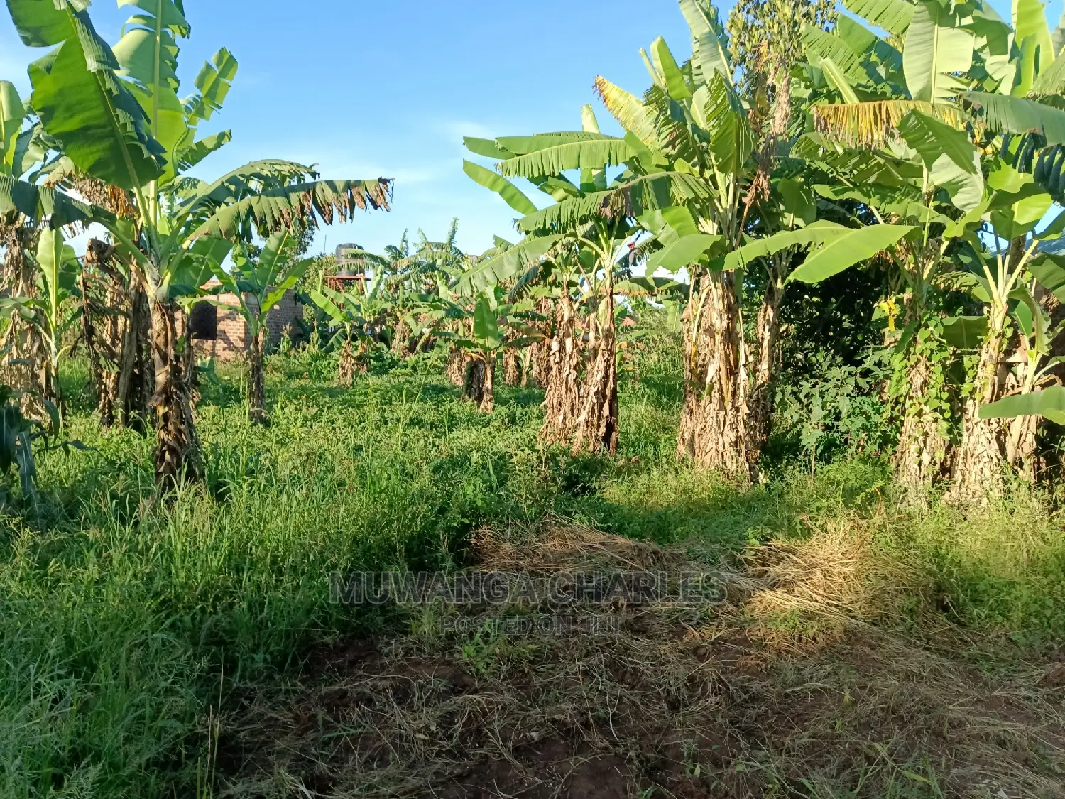 Plot's in Kira for Sale
