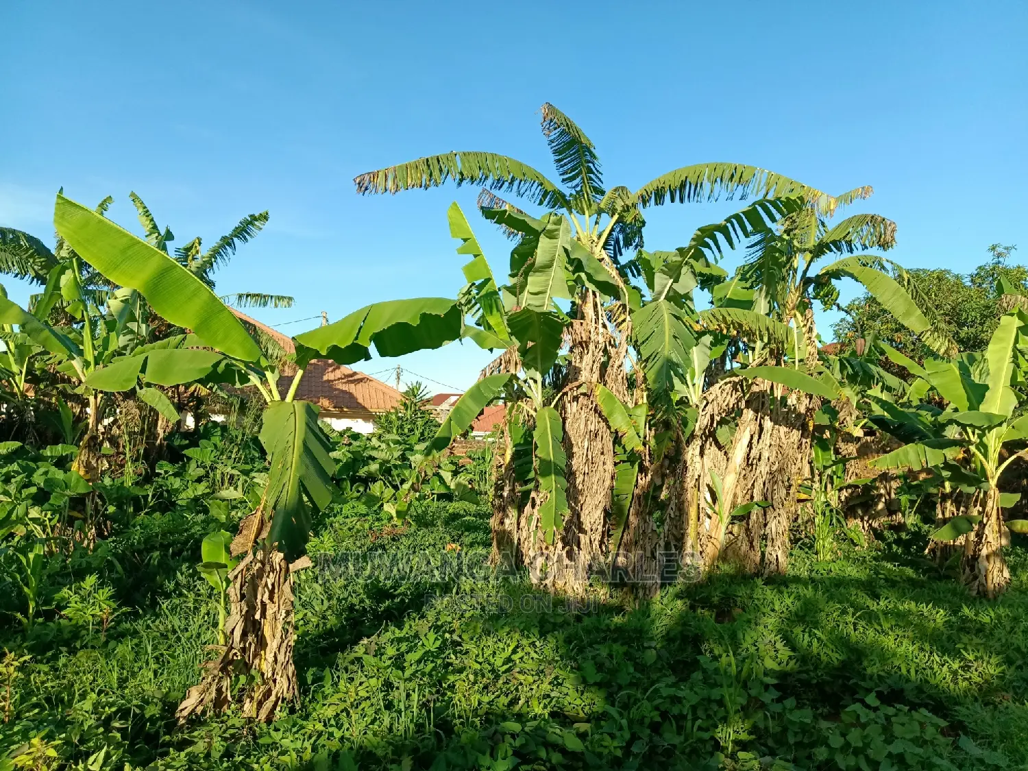 Plot's in Kira for Sale