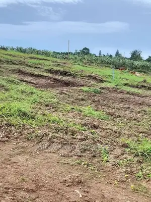 12decimals Plot in Gayaza Busukuma