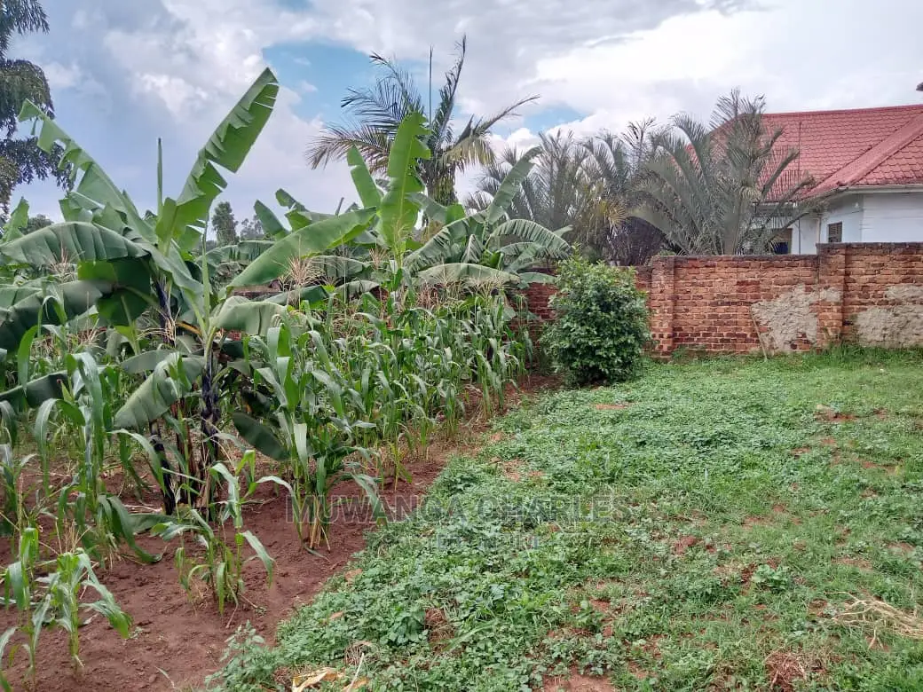 12decimals Plot in Gayaza Busukuma
