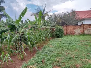 12decimals Plot in Gayaza Busukuma