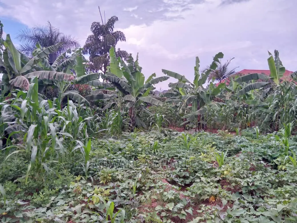 12decimals Plot in Gayaza Busukuma