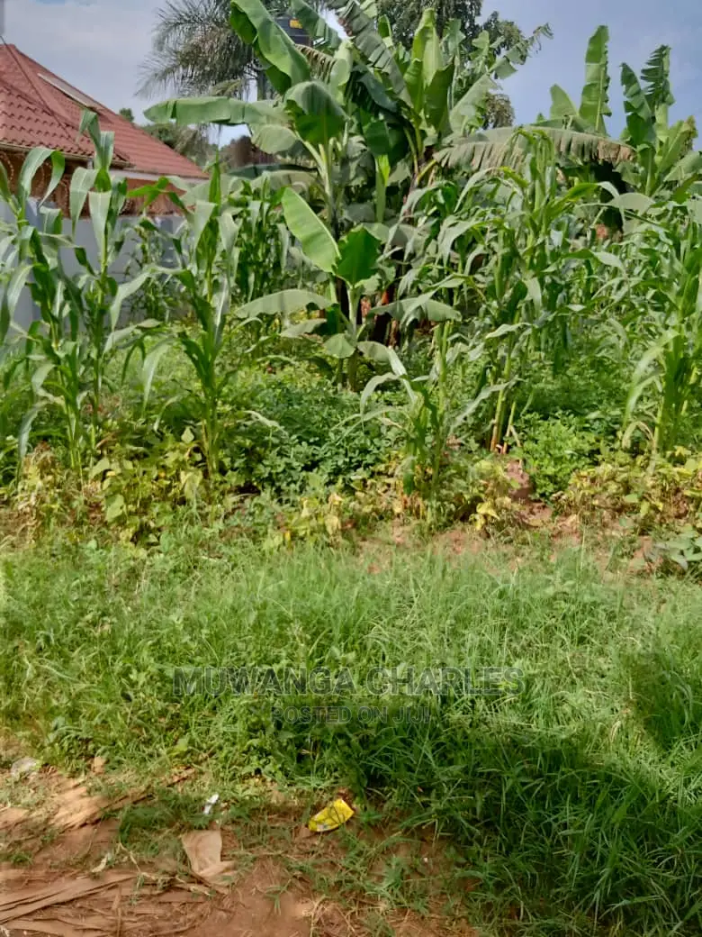 12decimals Plot in Gayaza Busukuma