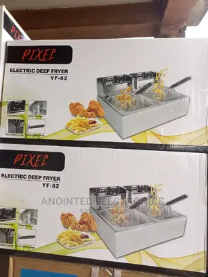 Double Deep Fryer