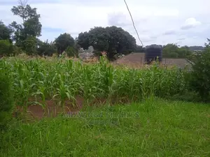 Plots in Gayaza Busika for Sale