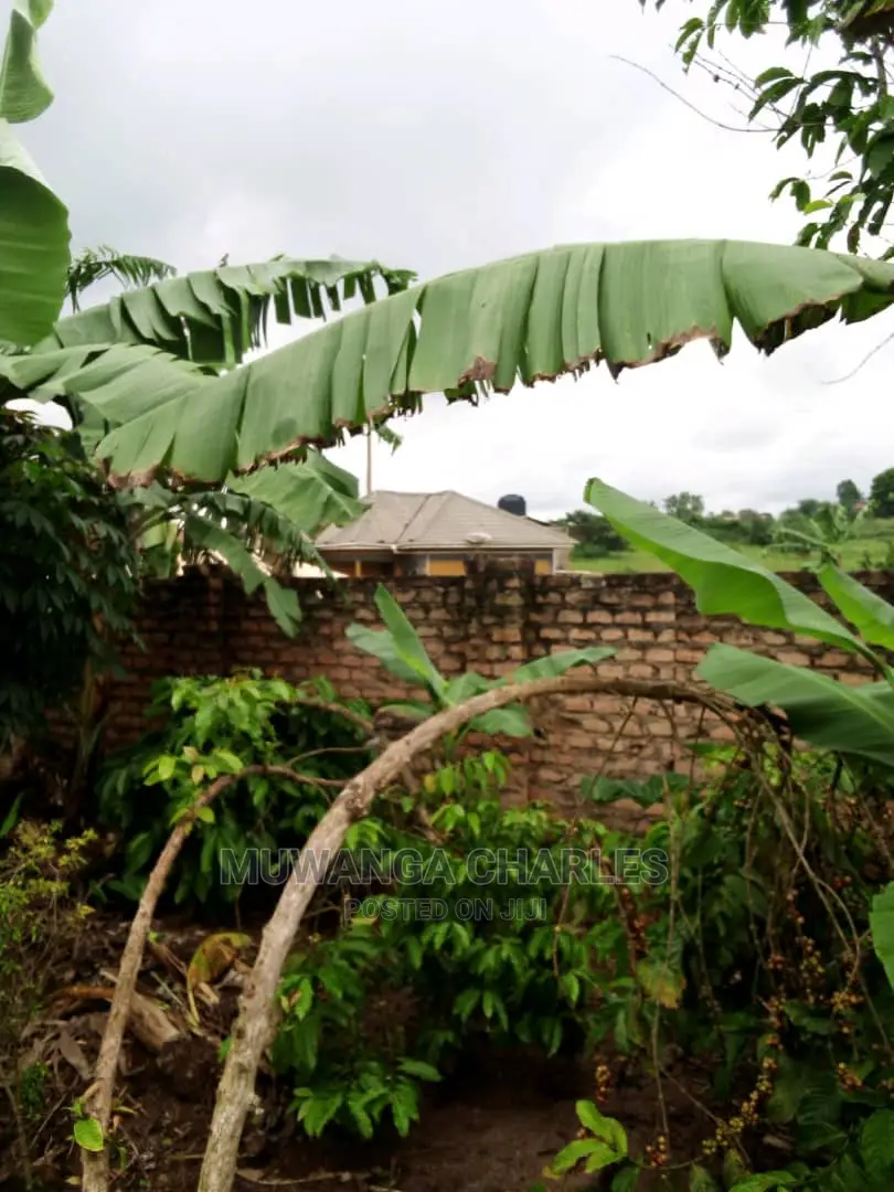 Plots in Gayaza Busika for Sale