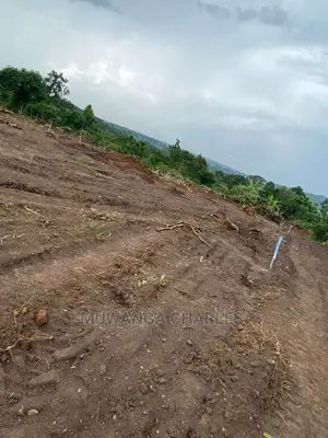 Plots in Gayaza Busika for Sale