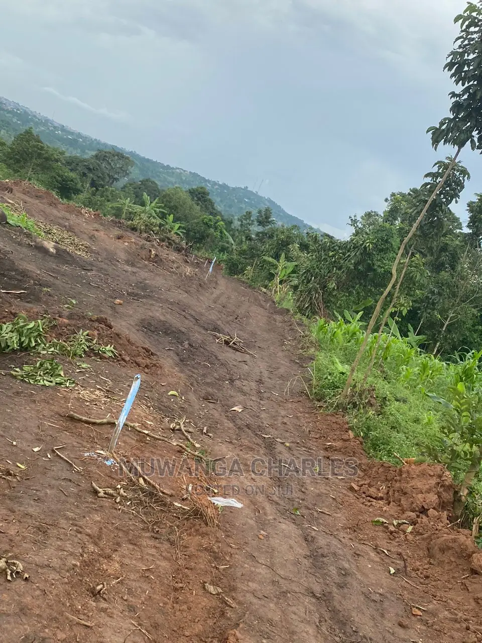 Plots in Gayaza Busika for Sale