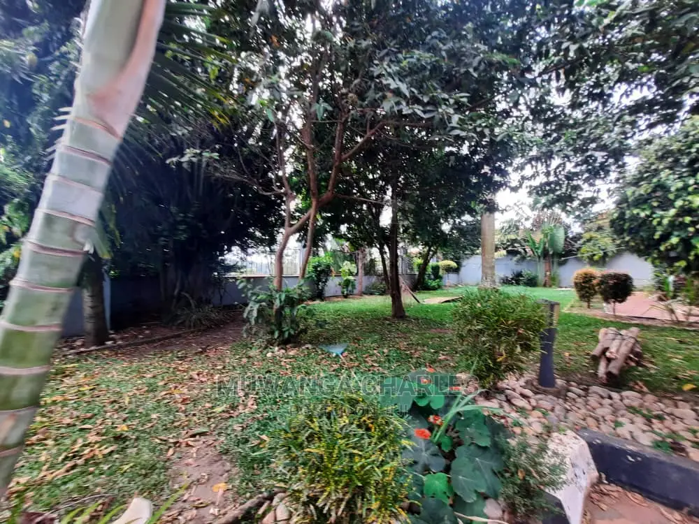 Plots in Buwate for Sale