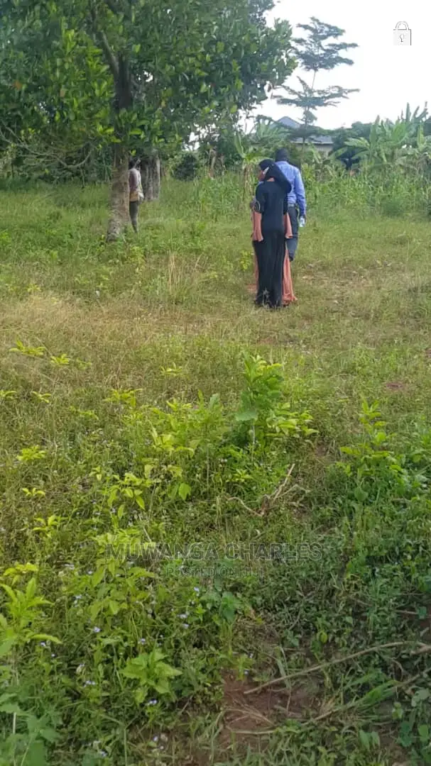 Plots in Buwate for Sale